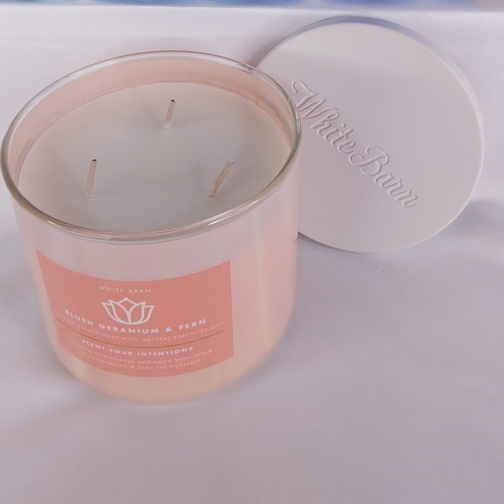 BATH & BODY WORKS 'SCENT YOUR INTENTIONS' 'BLUSH GERANIUM & FERN' IRIDESCENT - Picture 10 of 12